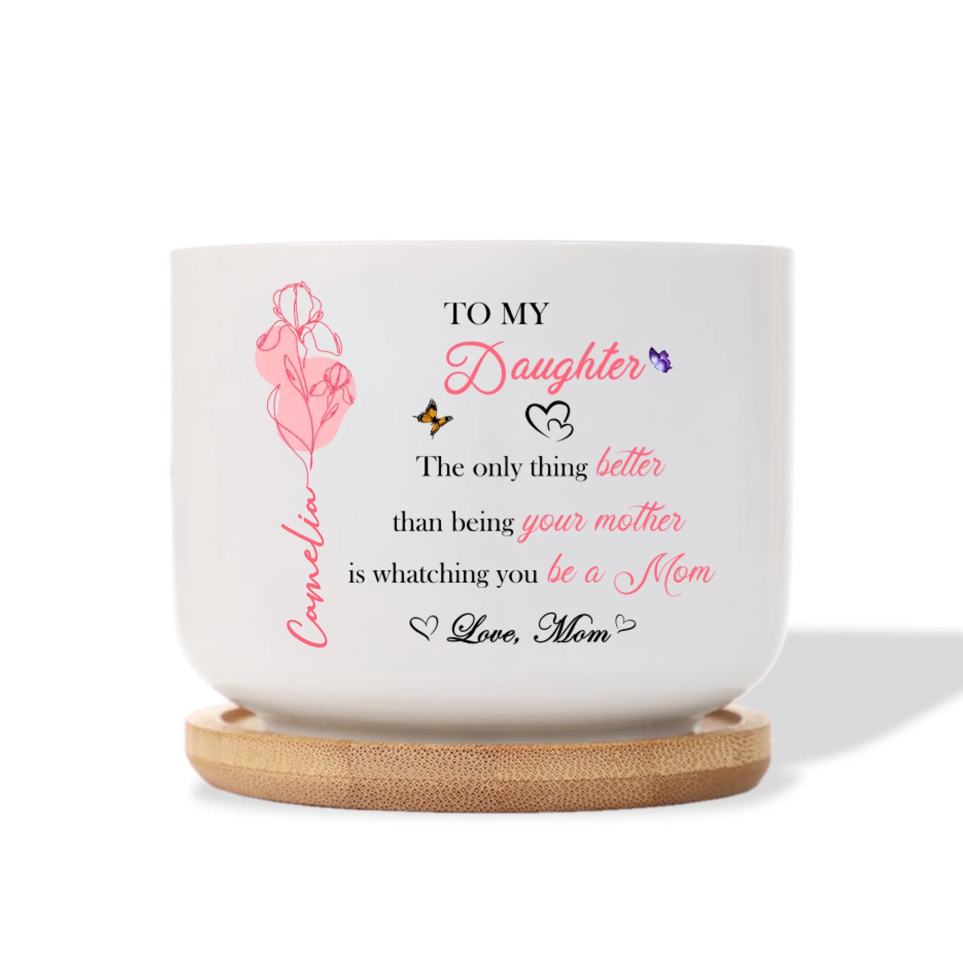 Ceramic Plant Pot 2
