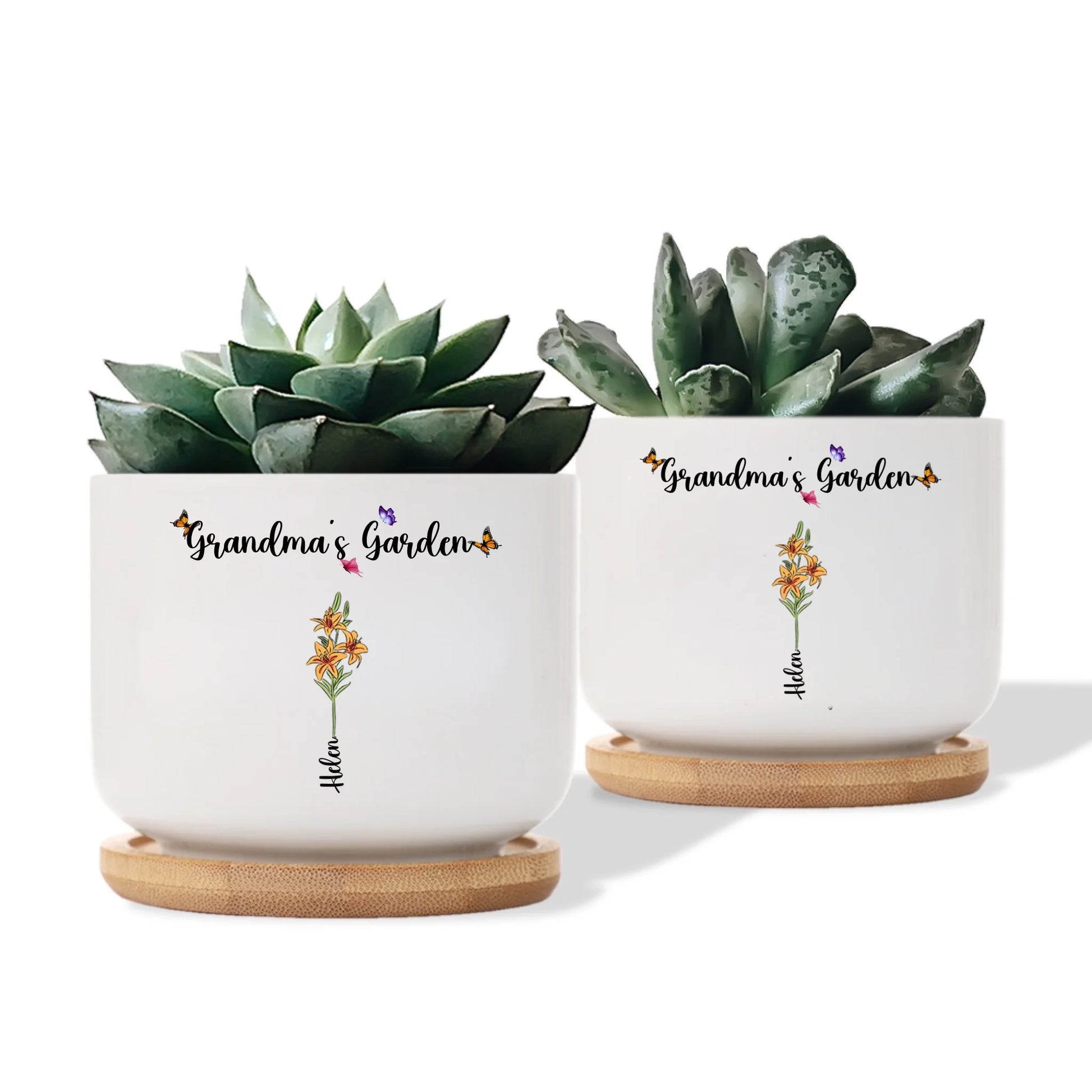 Ceramic Plant Pot