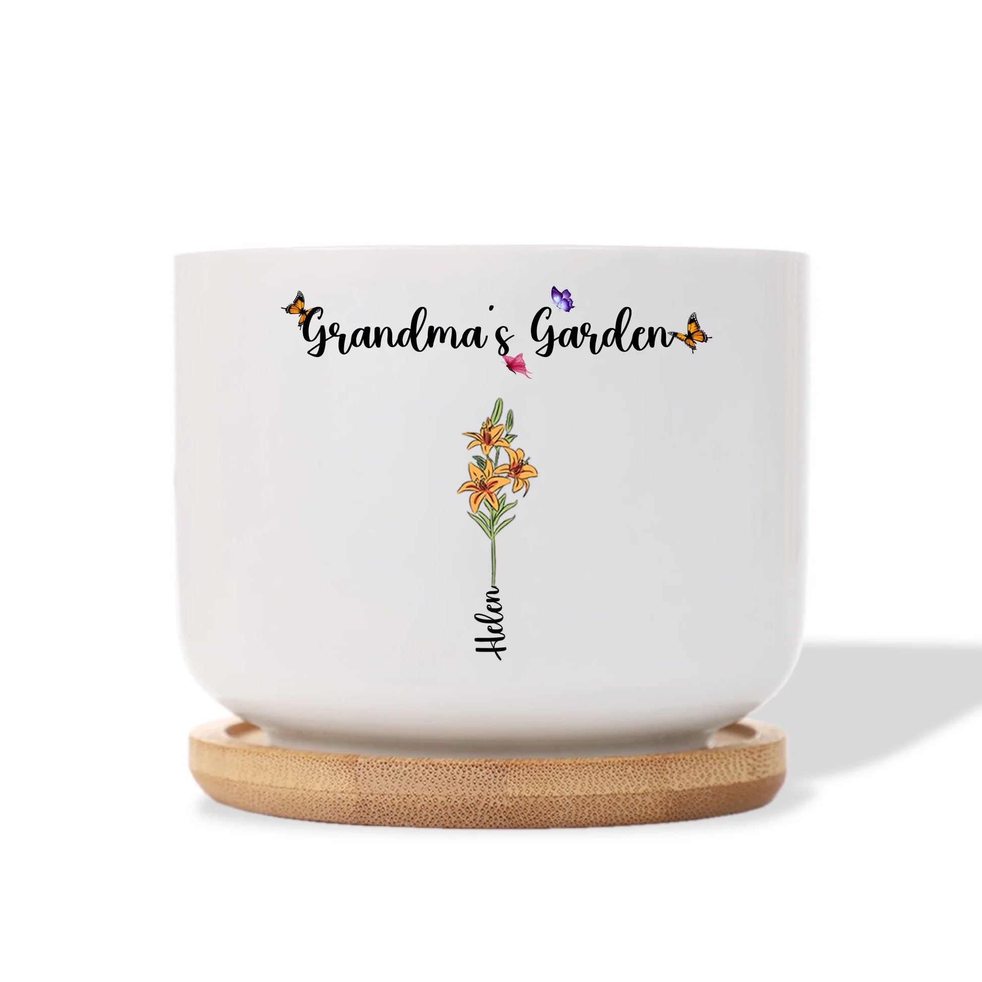 Ceramic Plant Pot 2