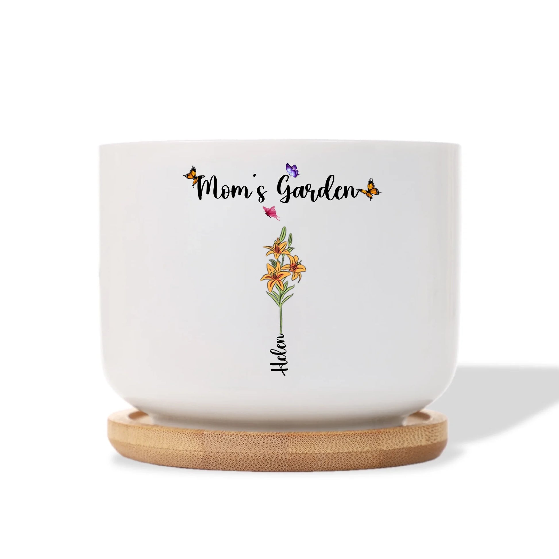 Ceramic Plant Pot 2