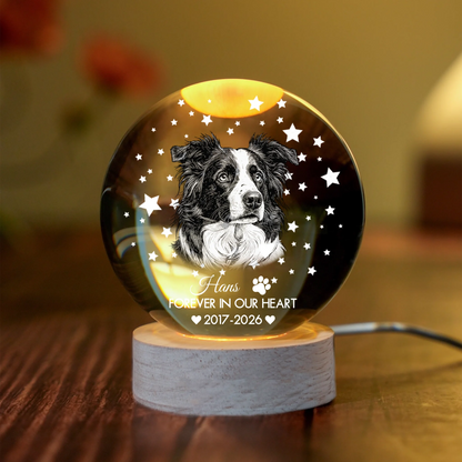 Custom Dog Photo Crystal Globe Lamp - Personalized Dog Memorial Sympathy Gifts For Dogs Lover- Forever In Loving Memory