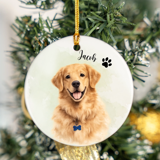 Dog8