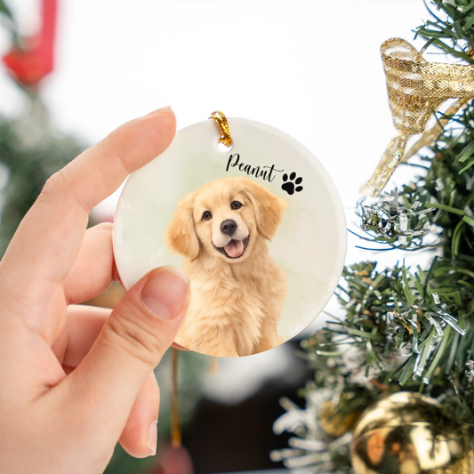 Dog9