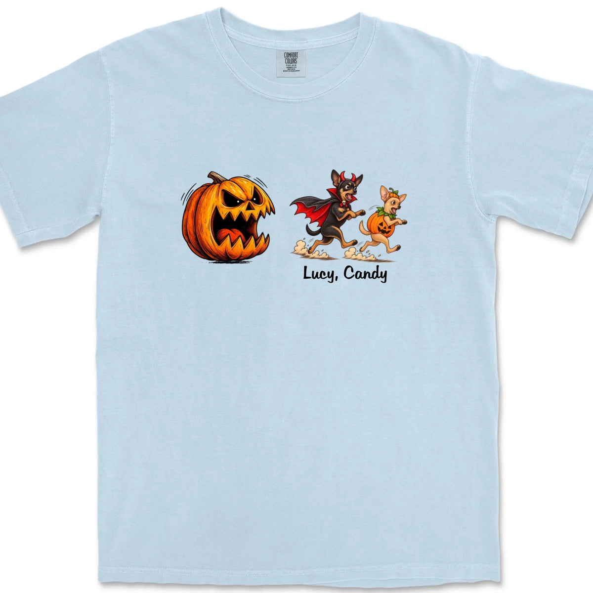 CC1717-hydrange-front