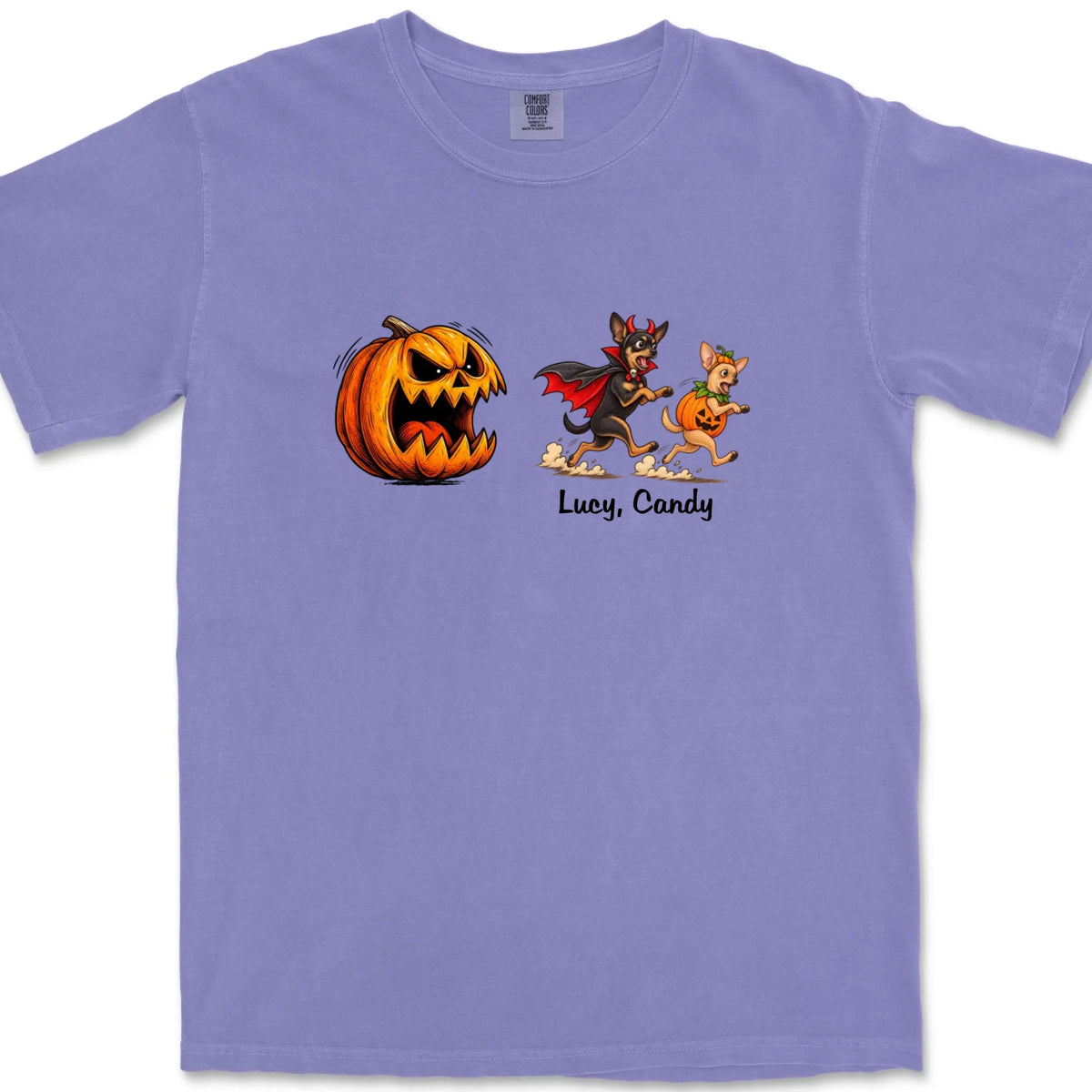 CC1717-violet-front