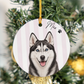 Dog13