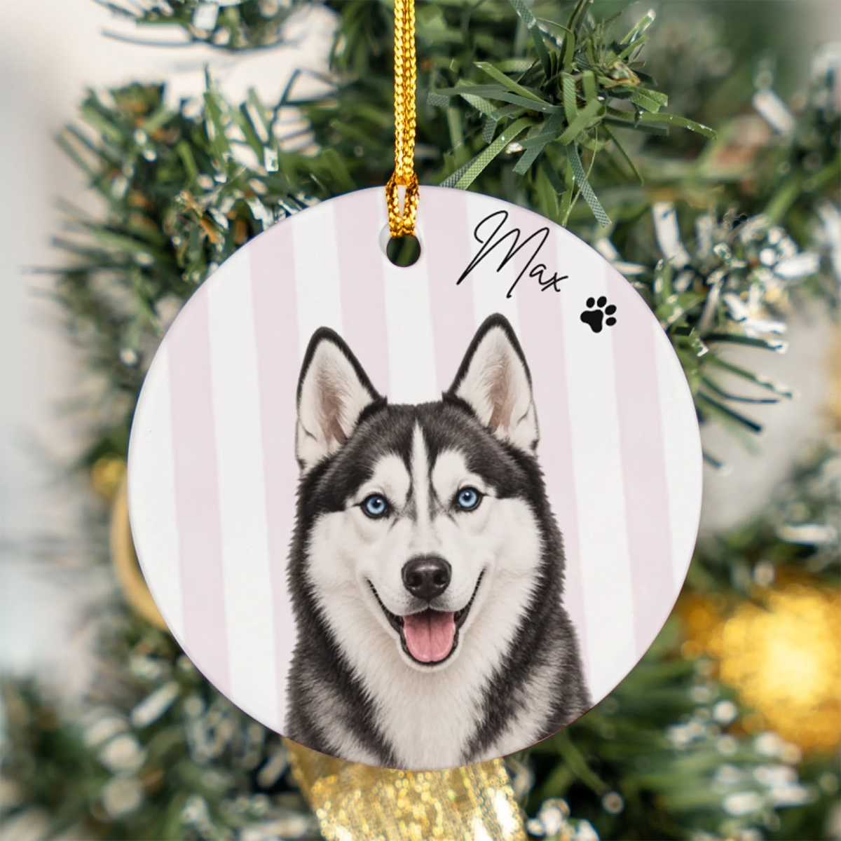 Dog13
