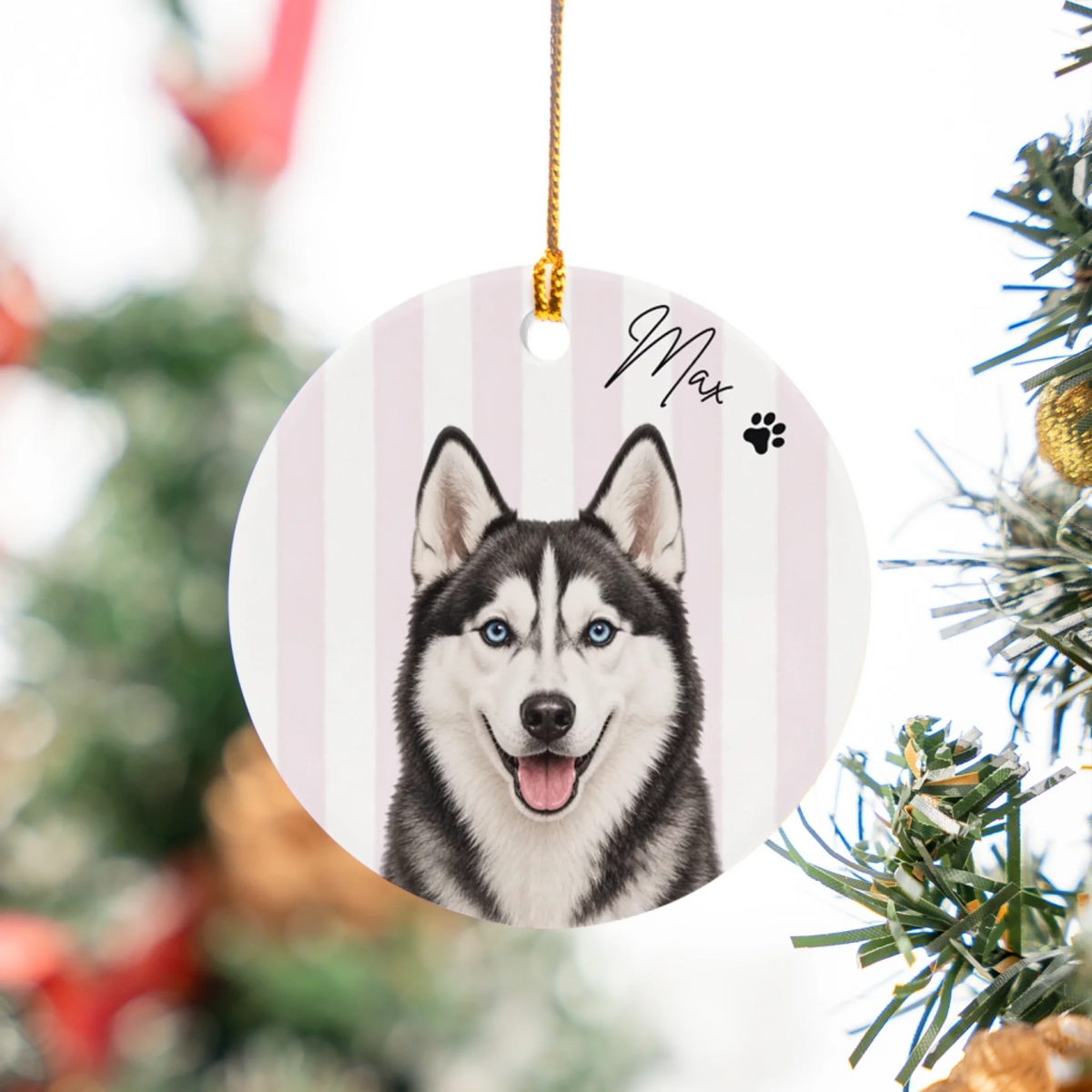 Dog14